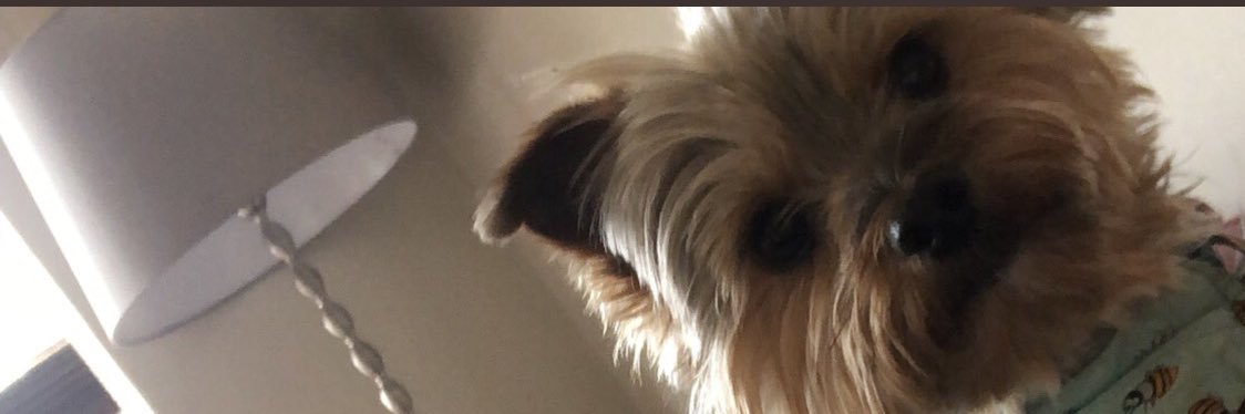 Brooklyn Fallon banner