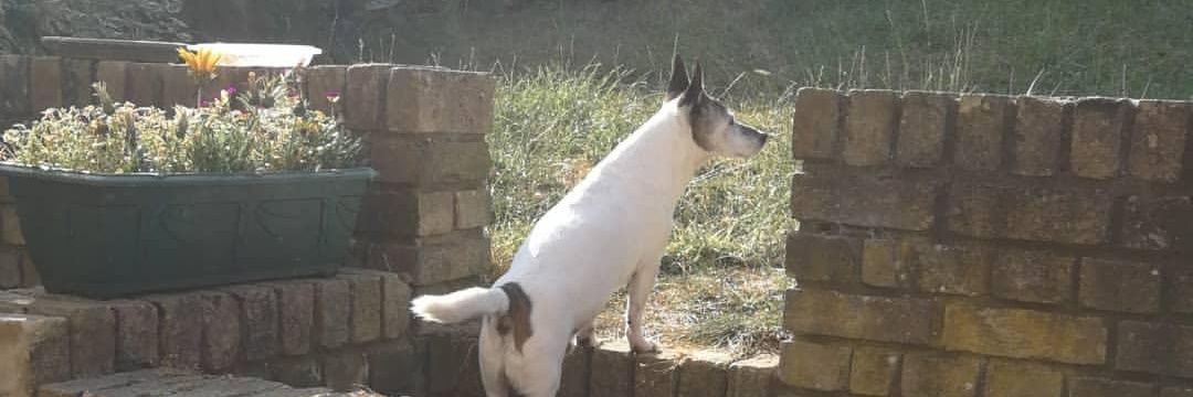 ErinHoel's profile banner image