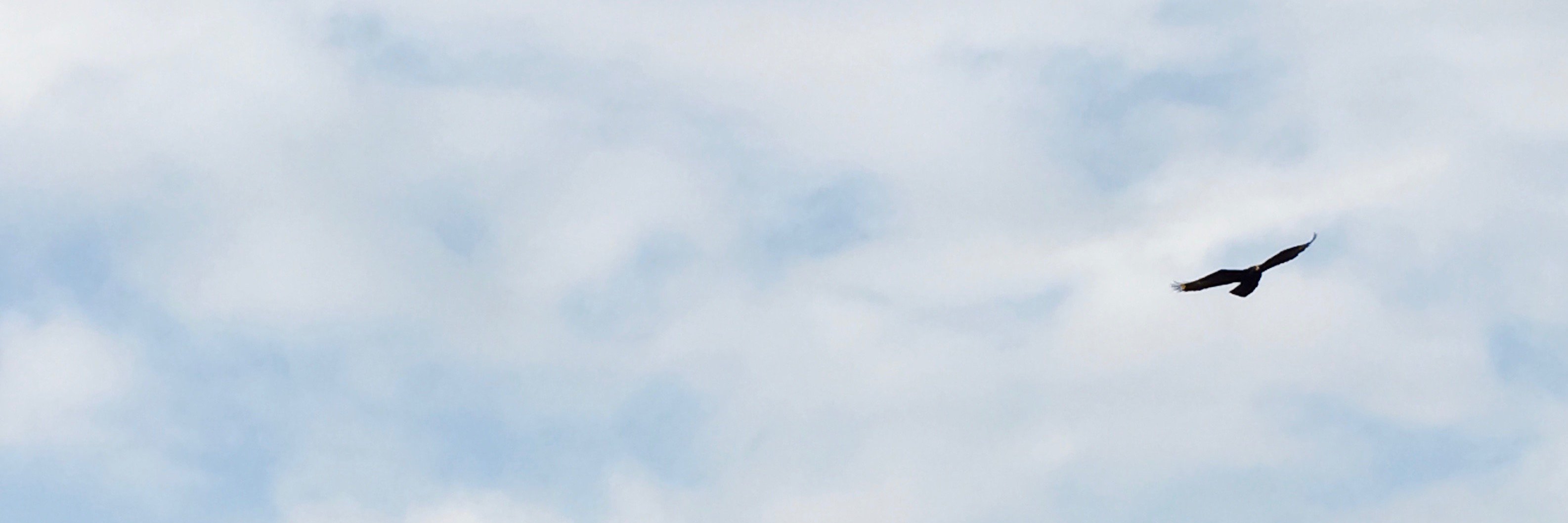 khatimohlaba's profile banner image