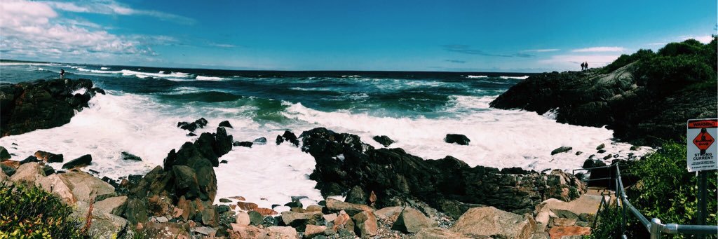 Rose_Lipinski's profile banner image