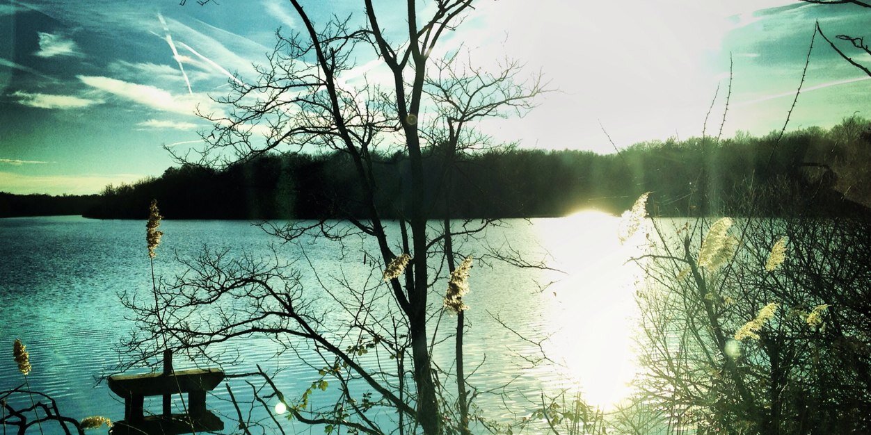 ProsperCurtis's profile banner image