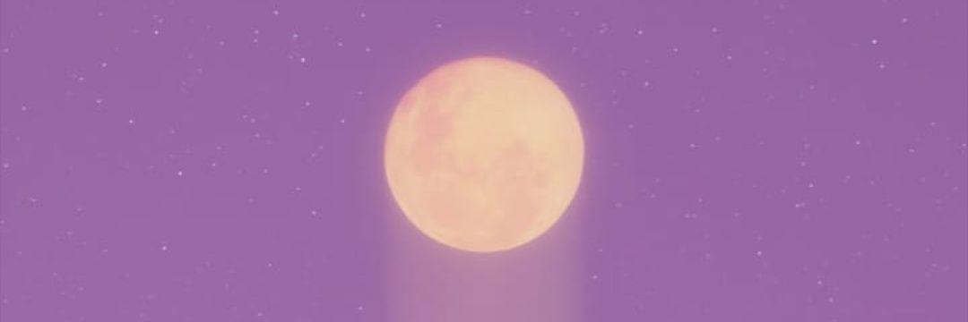 evieeetaylor's profile banner image
