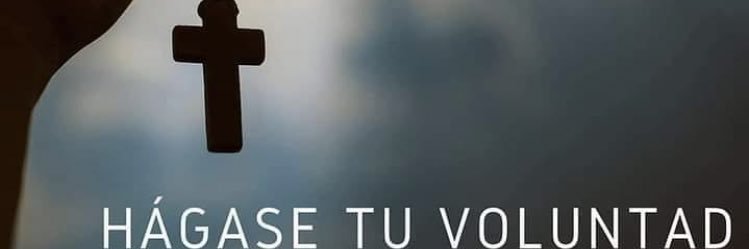 C_CruzN's profile banner image