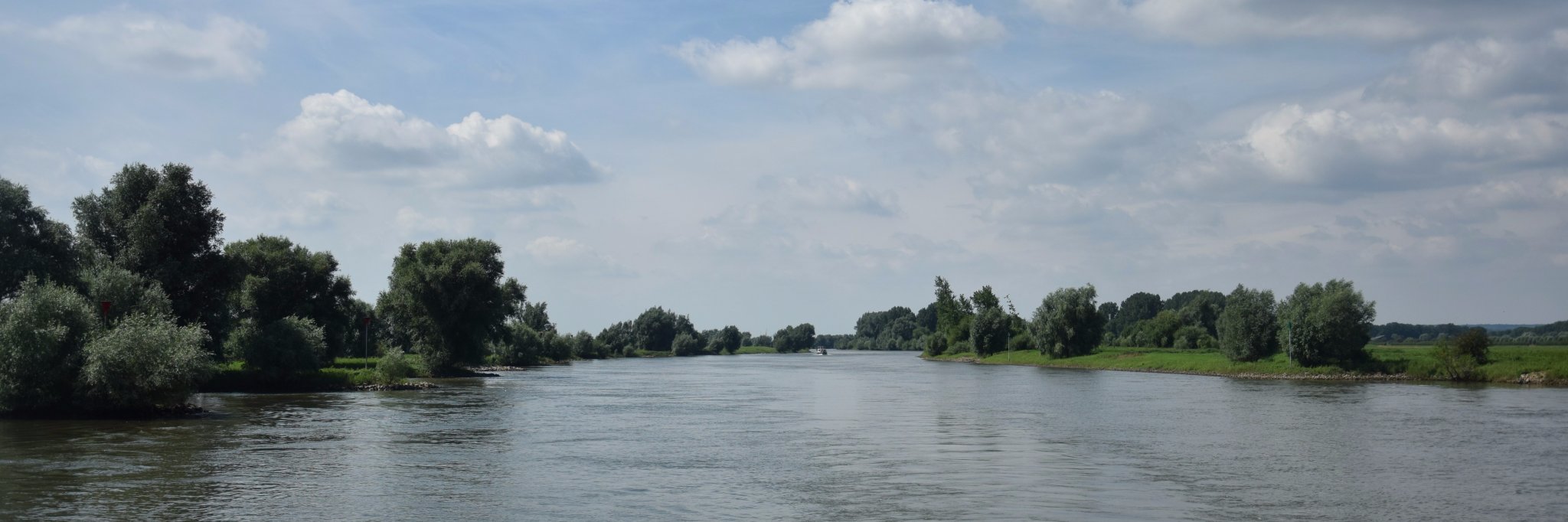 Henk-Jan van Mossel banner