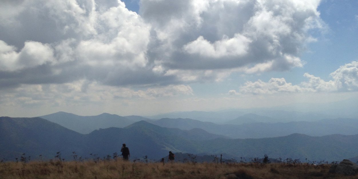 Natalie Judith banner