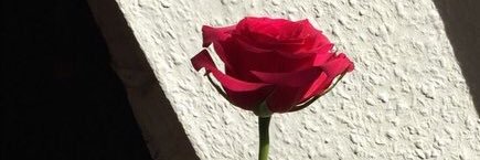 ALKANAS9977's profile banner image