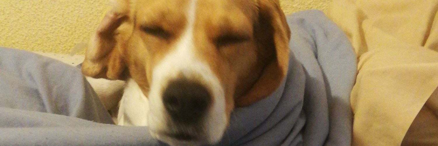 GuillermoMerin5's profile banner image