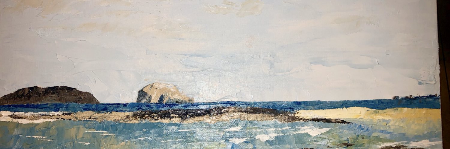 Prof Steve Wigmore banner