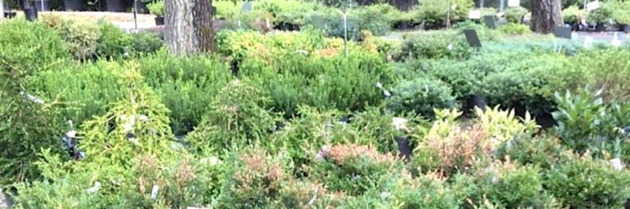 SCgreenindustry's profile banner image