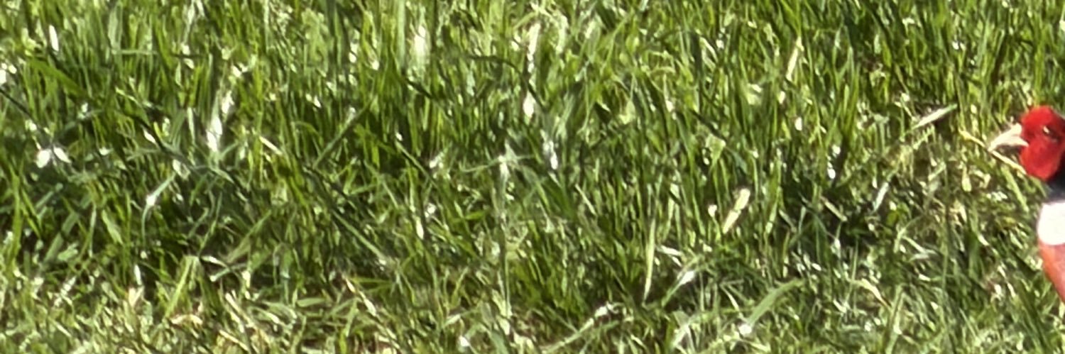Mikl_Something's profile banner image