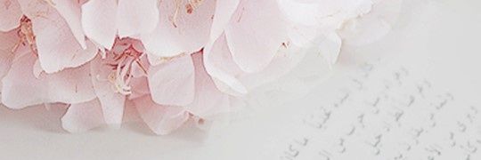 Gita banner