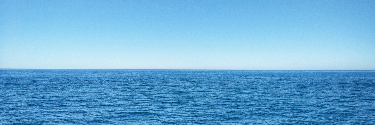 roxwillis's profile banner image