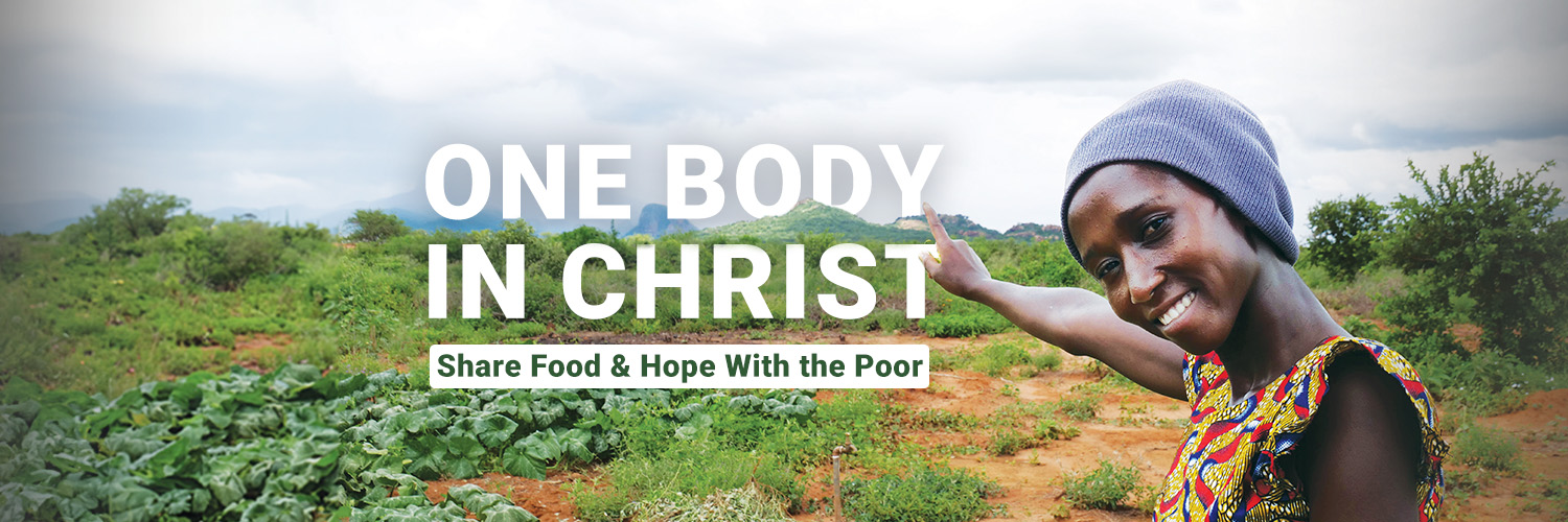 Cross Catholic Outreach banner