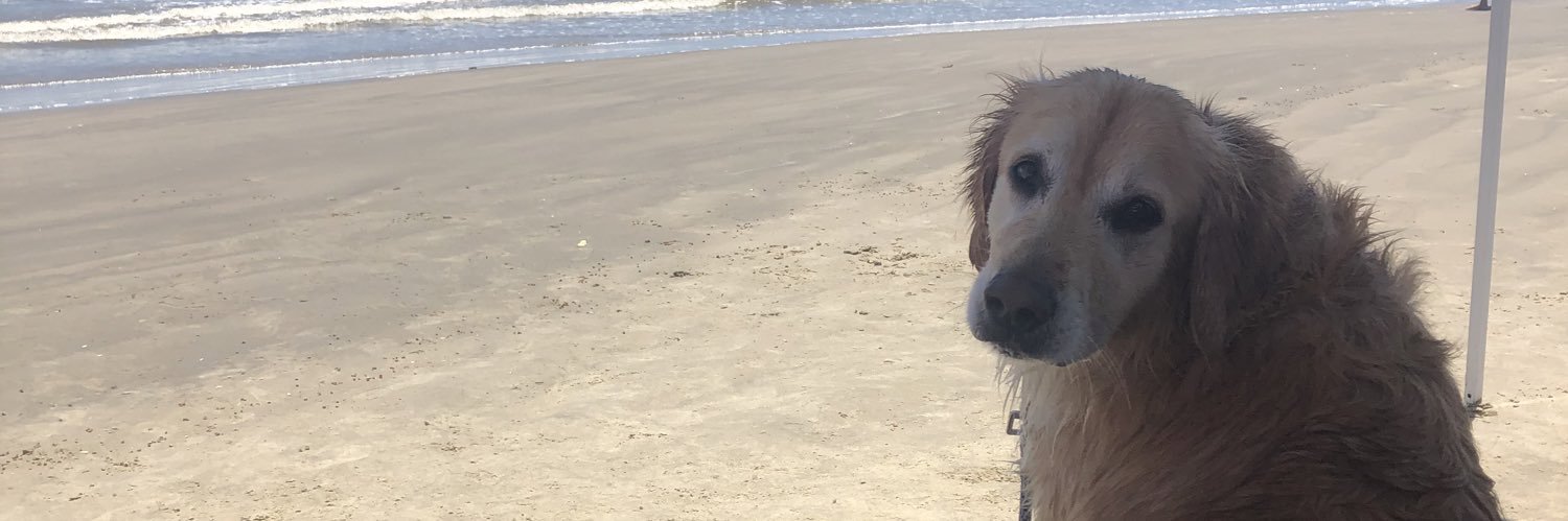 socaheme's profile banner image