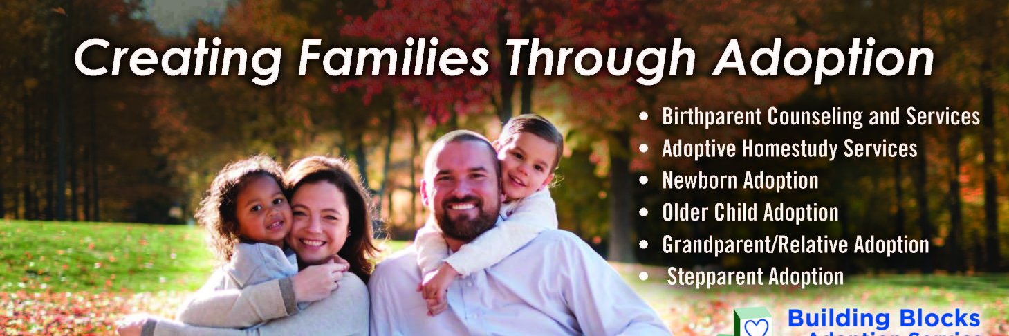 adoptionohio's profile banner image