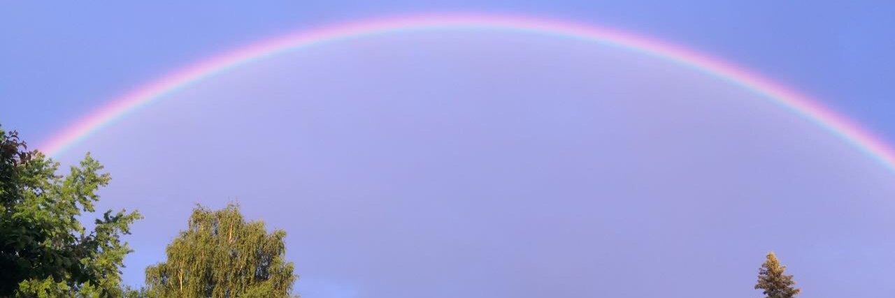 Weidi #StandingWithUkraine banner