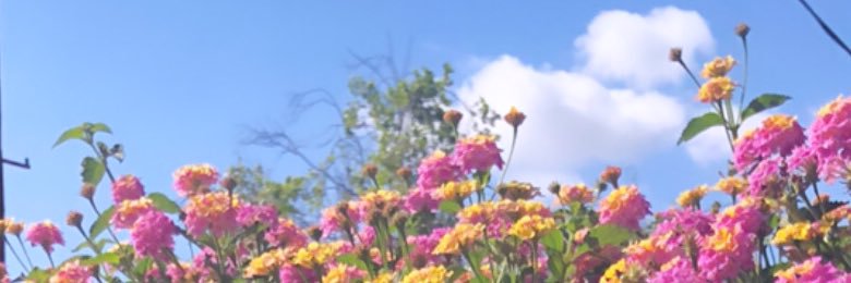 brownsugar8910's profile banner image
