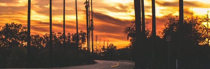 originalesco94's profile banner image