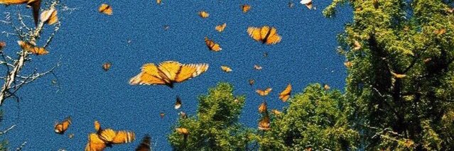 Ihind1I's profile banner image