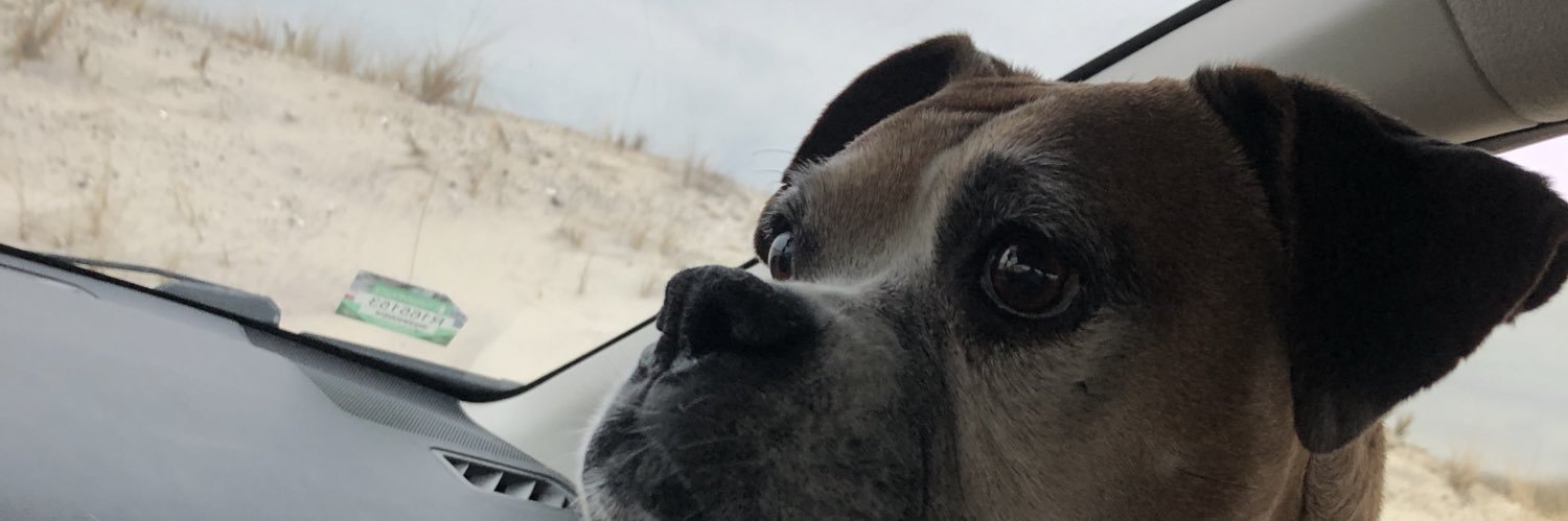 KelBellSmith's profile banner image