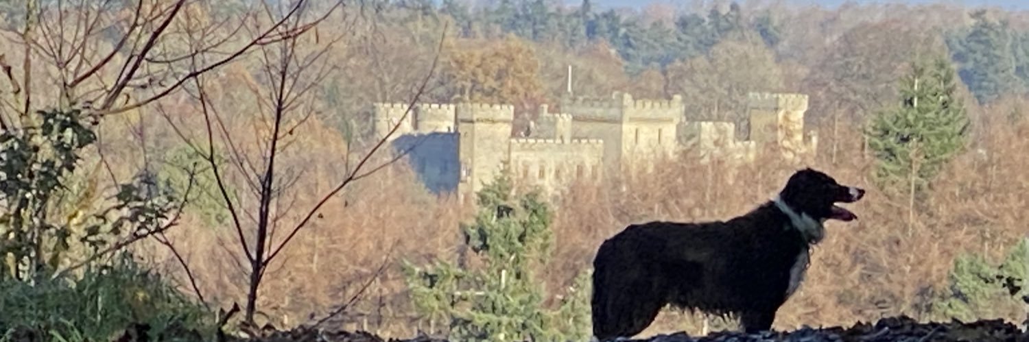 norgeian 🇳🇴 🇬🇧 banner