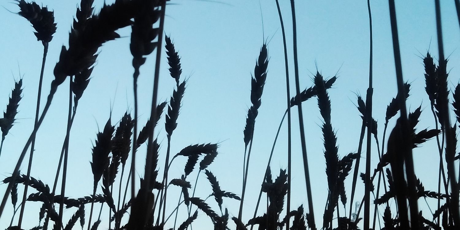 Maite393's profile banner image