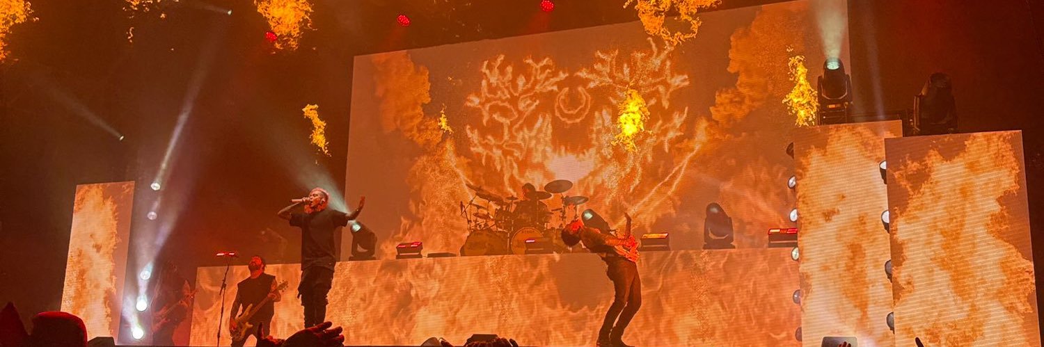 Daniel Spiller banner