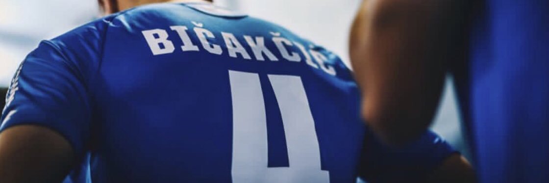 Ermin Bicakcic banner