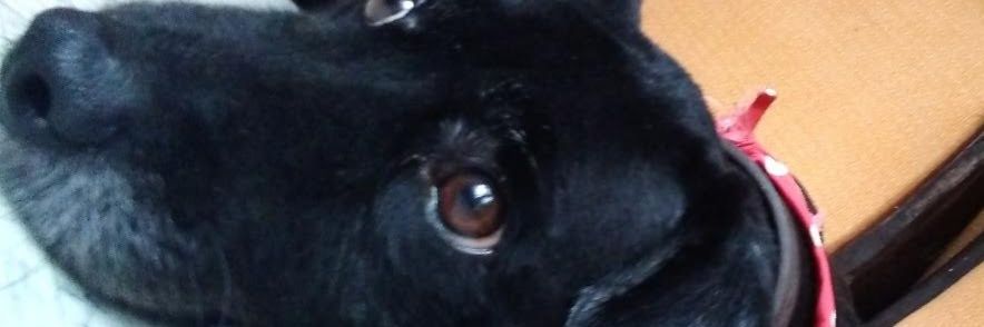 vqillar's profile banner image