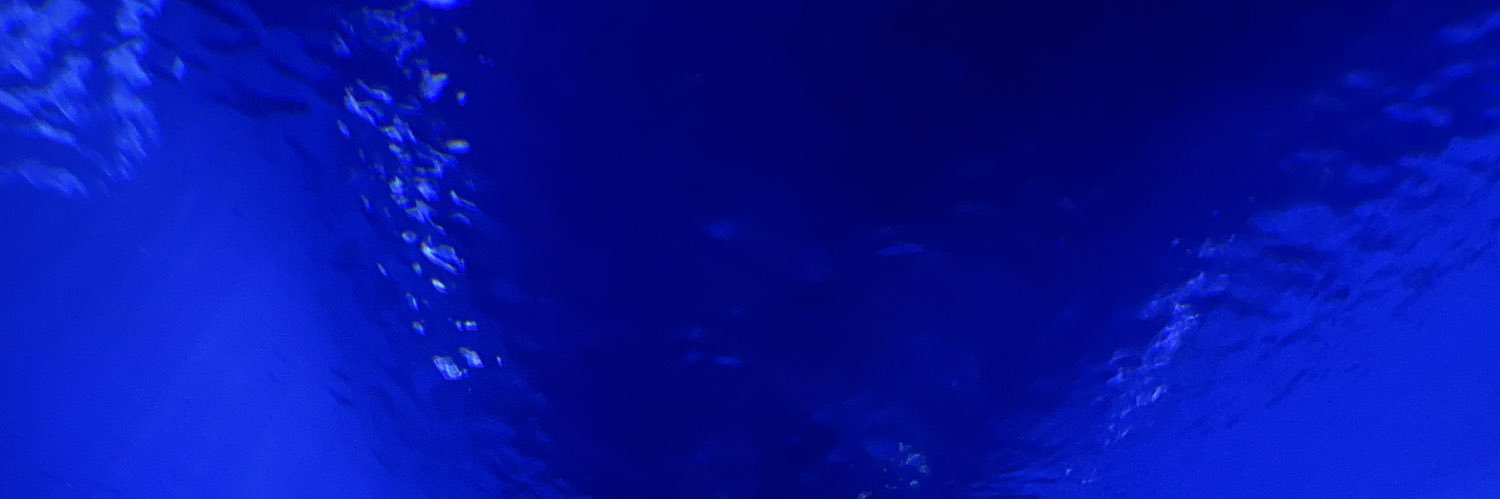 wise_rizz's profile banner image