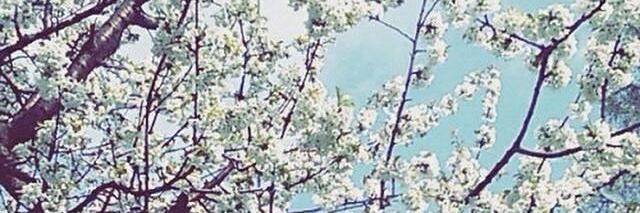 PerrineLeGllrd's profile banner image