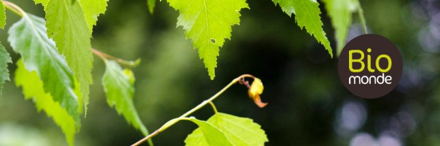 BarbierTess's profile banner image