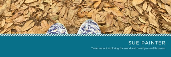 suepainter1 Profile Banner