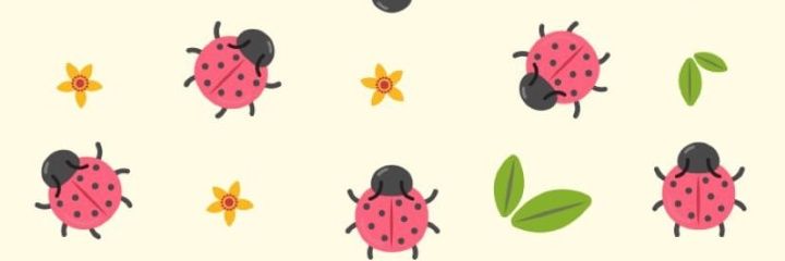 carolgr83's profile banner image