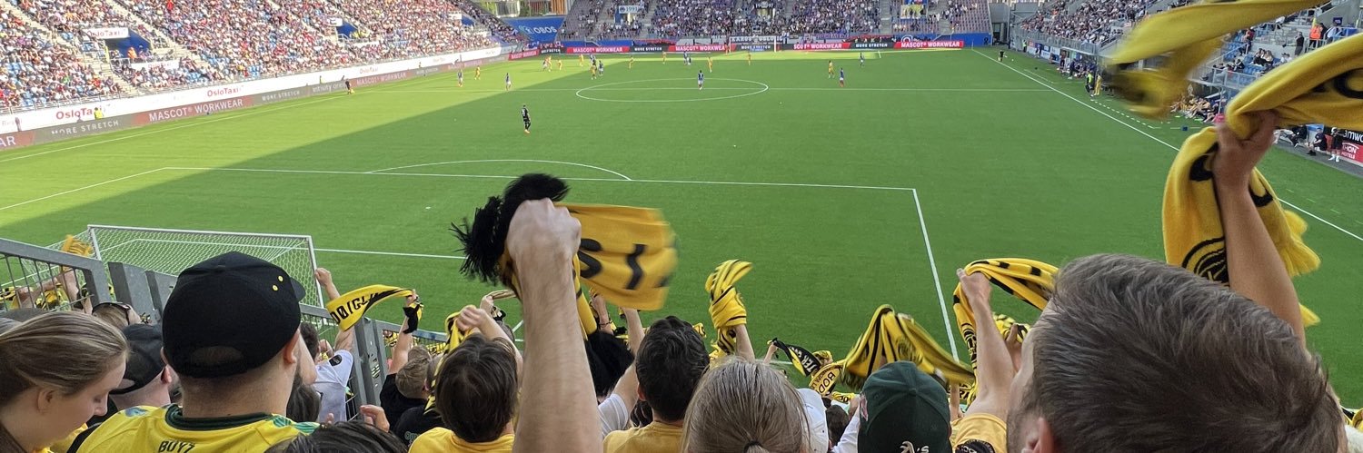 Vidar Pettersen banner