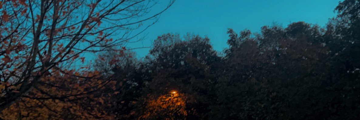 tinnyfrontier's profile banner image