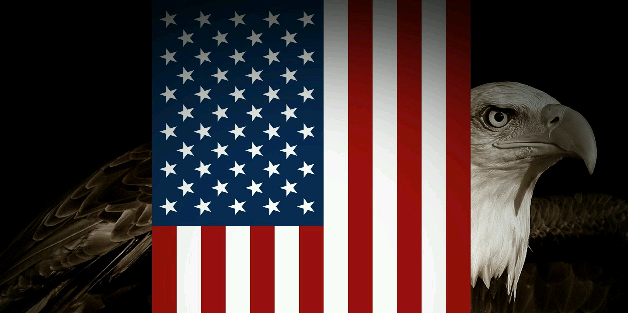 steve_sphillips's profile banner image