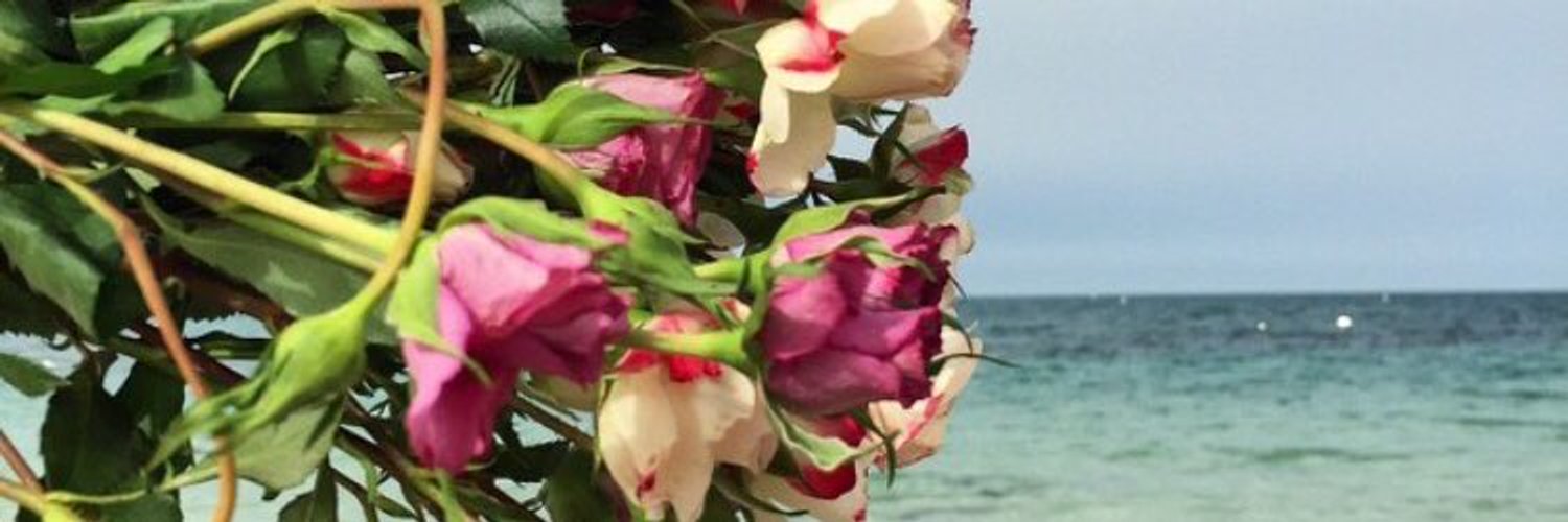 BroOoy_'s profile banner image