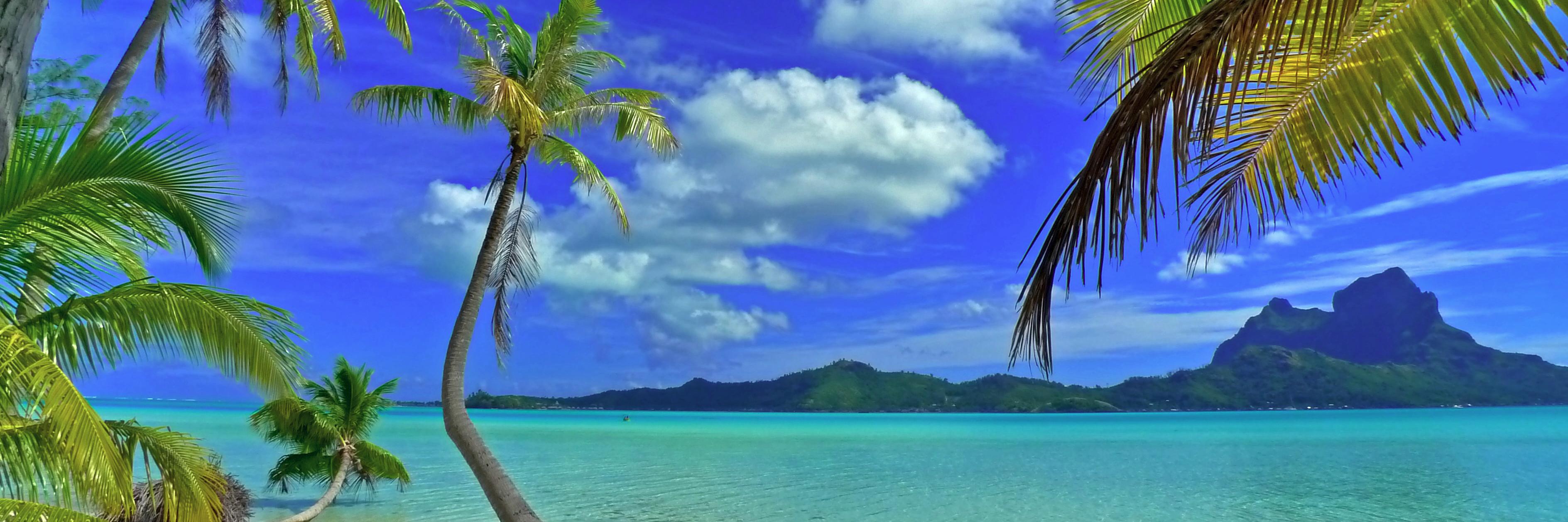 FlySeeStay's profile banner image
