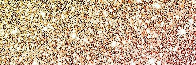 bigbenny_'s profile banner image