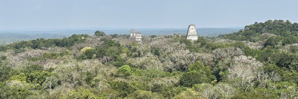 buenvida24 Profile Banner