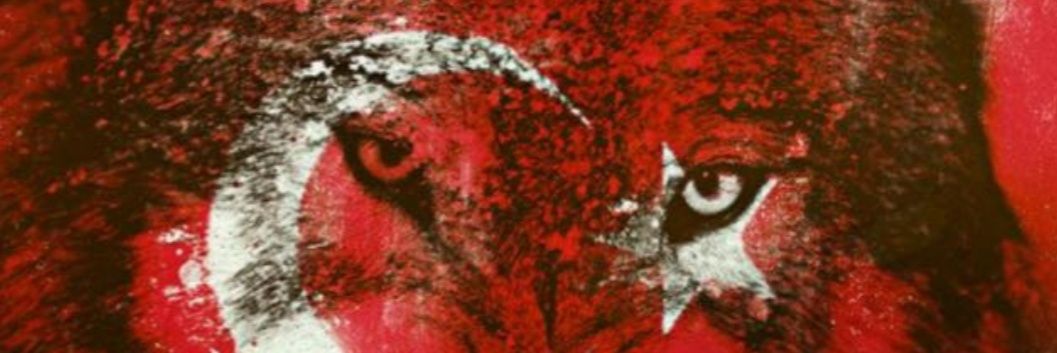 gezgincrazy's profile banner image