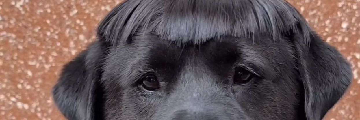 kbkilla59's profile banner image