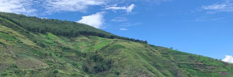 Sylvan Herskowitz banner