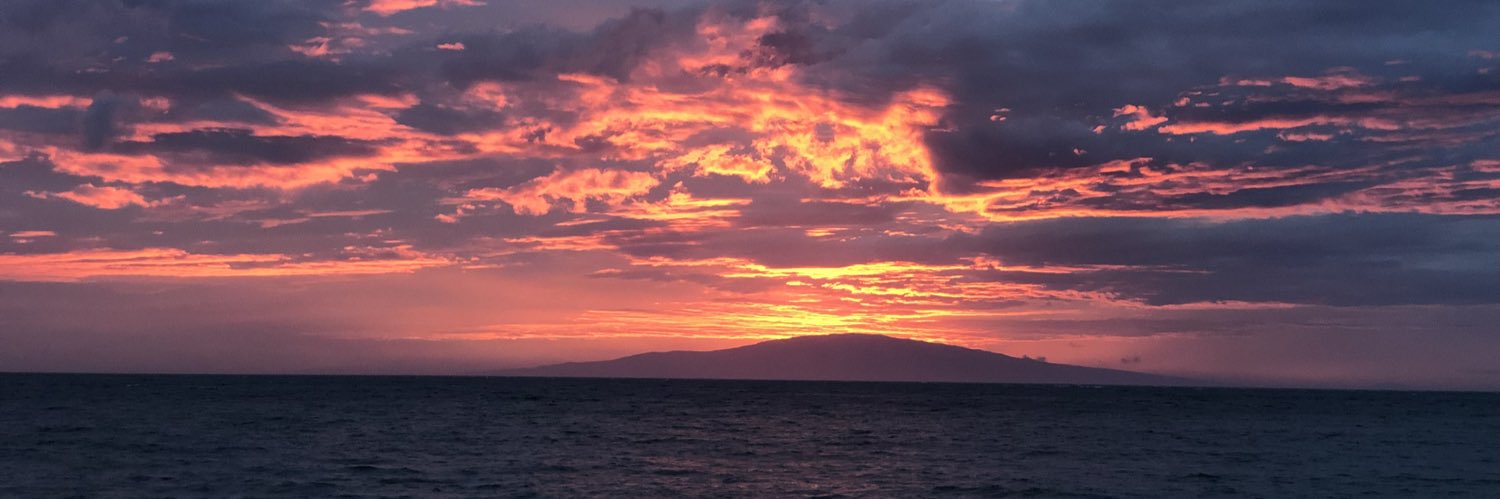 melonini1's profile banner image