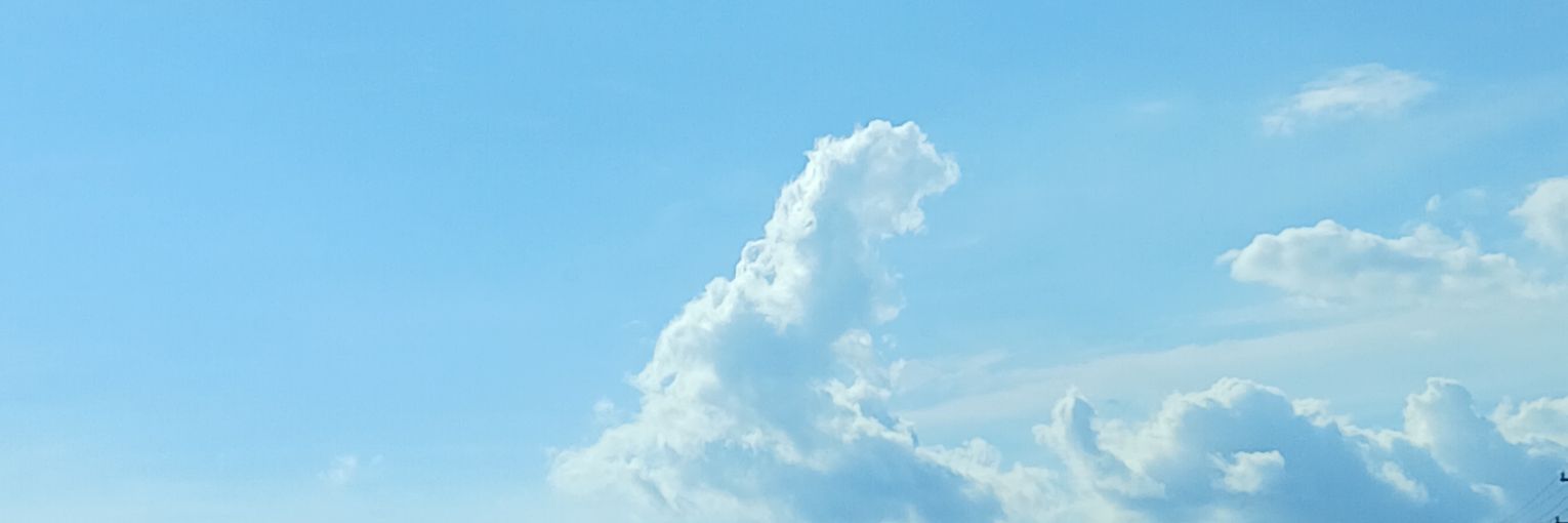 Chunky_Seagull banner