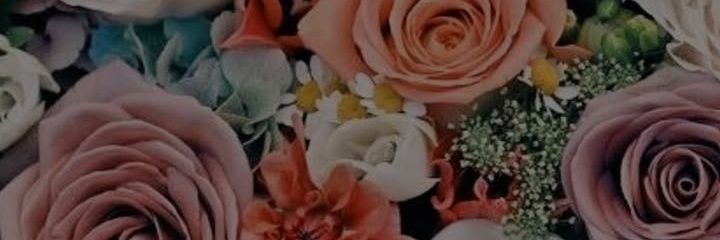 veronic_em's profile banner image