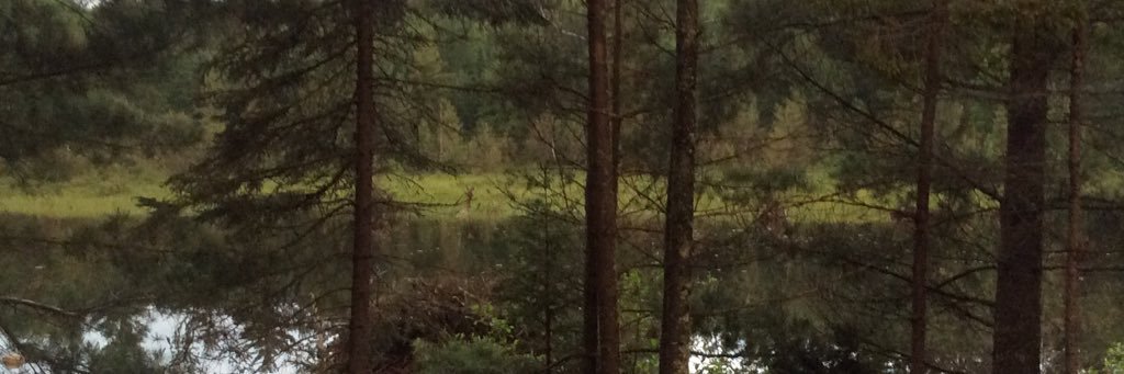 JillMcElmurry's profile banner image
