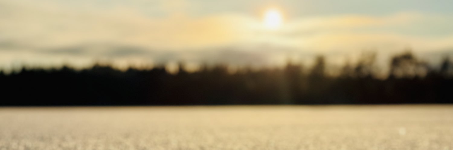 fegge's profile banner image