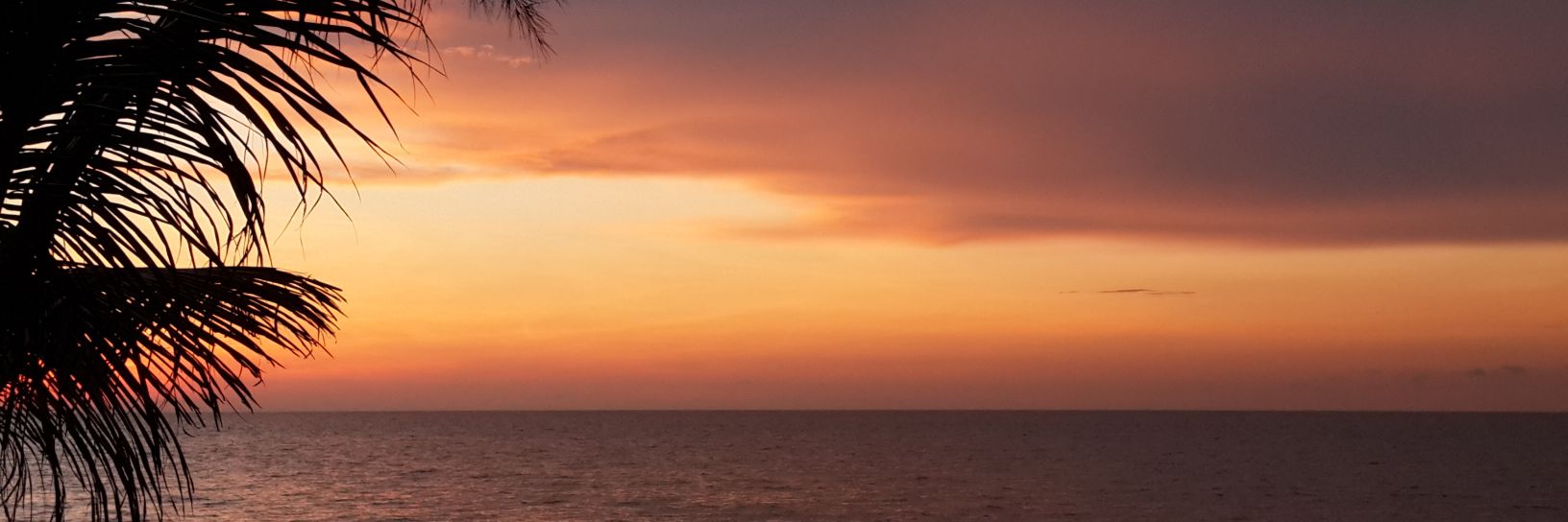 subakemon's profile banner image